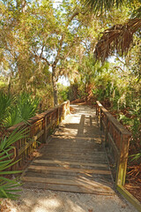 Walkway at Oscar Scherer State Park, Florida