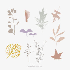 Autumn vector botanical illustration of florals, dried fall leaves