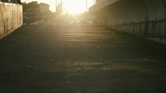 Path in front of the sun in puerto montt chile