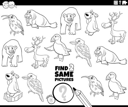 find two same animal characters task coloring page