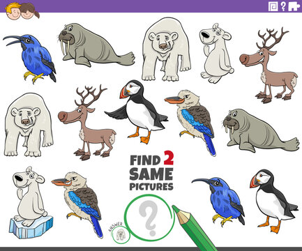 find two same cartoon animal characters educational task