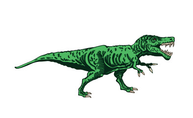 Vector illustration of green tyrannosaurus isolated on white background,vector color element