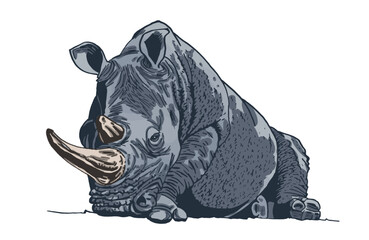 Vector  grey rhinoceros lays isolated on white, graphical color illustration