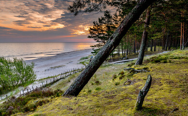 Cloudy morning on sandy beach and forest dune area of the Baltic Sea at dawn. Concept of happy,...