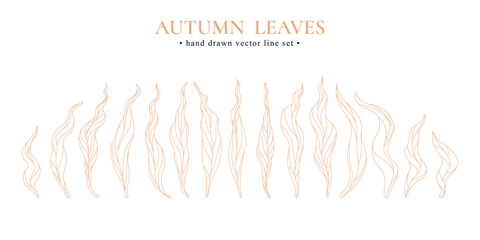 Autumn hand drawn vector set of line orange leaves isolated on white background.