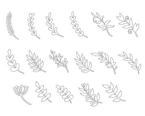 Set of line leaves. Abstract botanical vector illustration.