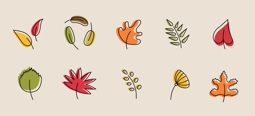 Colorful autumn leaves set, isolated on white background. Simple doodle flat style, vector illustration. Autumn leaves vector set for fall seasonal elements with maple and oak leaf