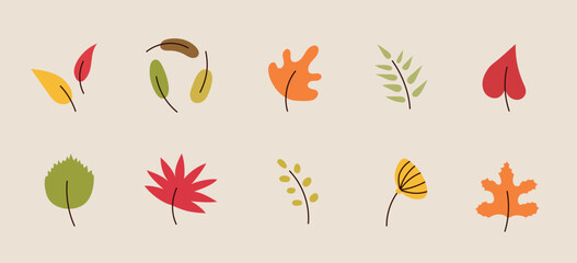 Fototapeta na wymiar Autumn bright leaves set, isolated on white background. Simple cartoon flat style. Isolated vector illustration. Design for stickers, logo, web and app. Collection of golden autumn leaves. Herbarium