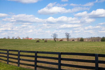 Early spring countryside landscape.