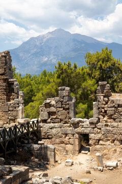 Historical ruins in the forest, Phaselis ancient city, Antalya