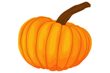 fresh pumpkin fruit vector For Halloween