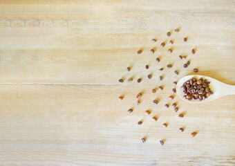 Coffee beans with the wooden spoon with the selective focus. Good for any project.
