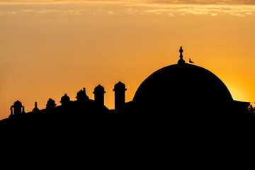 The Domes and Seagul at the Istanbul City