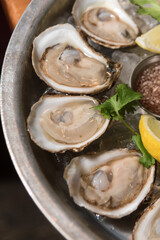 close up on oysters 