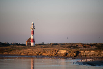 Phare de Nieuport