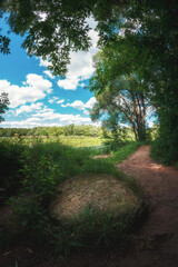 Landscape with path in the Serebryaniy Bor park, stone and cloudy sky on a clear day