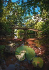 Landscape with bridge over the channel, water lilies in the Serebryaniy Bor park