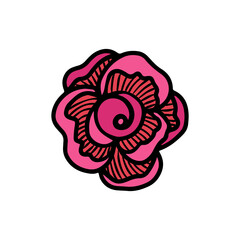 Rose flower head. Floral botanical flower. Hand drawn ink art. Isolated rose illustration element isolated on white.