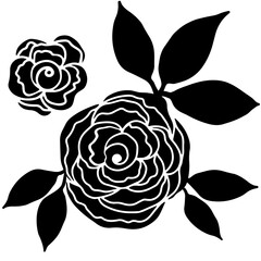 Rose flower head set. Floral botanical flower. Hand drawn ink art. Isolated rose illustration element isolated on white.