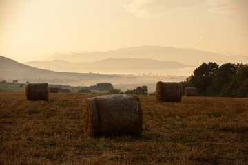 Haystack in field on sunrise,beautiful landscape view