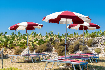 Beach umbrella and cactus at the beach against blue sky ready for vacations. - Bari, Puglia, Italy