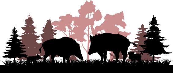 Wild boar family at edge of coniferous forest. Animal in natural habitat. Wild pig illustration. Isolated on white background. Vector.
