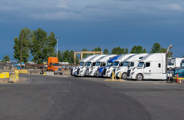 Different big rigs semi trucks with trailers standing in row on industrial parking lot waiting for the next freight