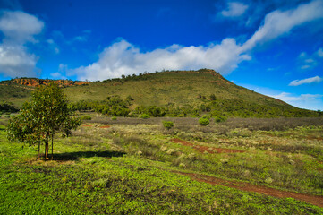 Fototapeta na wymiar Landscape at Dutchmans Stern Conservation Park near Quorn, Flinders Range, South Australia. This is a popular destination for hikers.