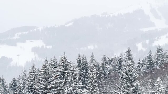 Panorama from above of snow covered forest, trees and mountain