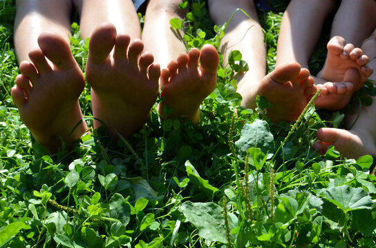 Children's feet on the grass on a sunny day, summer photo of the feet of 4 kids of different ages, symbolizing healthy childhood on the fresh air, earth contact