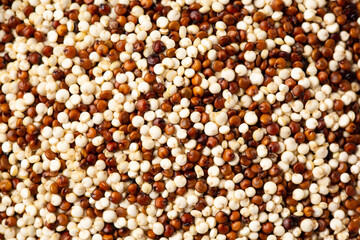 Red White Raw Quinoa Grain or Seeds for Texture or Ingredient Background,