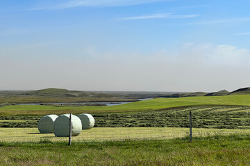 Farm fields on the south coast of Iceland