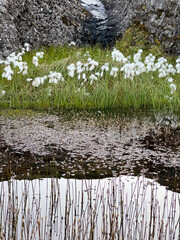 A small spring pond near Vatnajökull glacier.