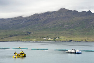 Aquaculture salmon farm in eastern Iceland.