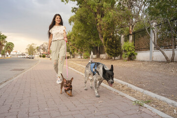 Young woman walks her dogs outdoors at sunset