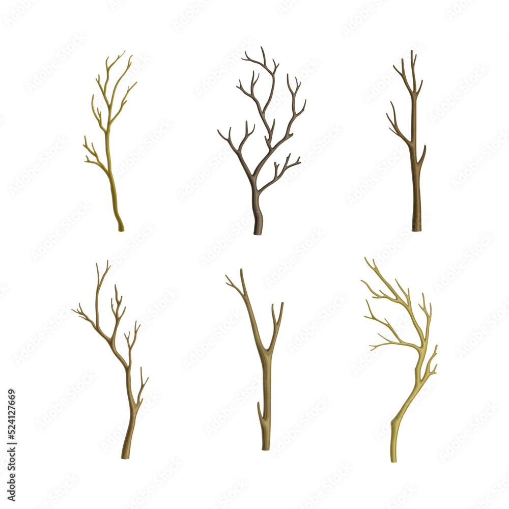 Poster bare tree branch or twigs with naked stem and snag vector set