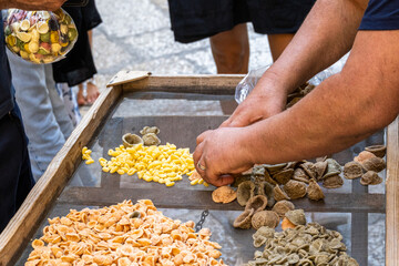 Typical italian pasta orecchiette of different color and freshly handmade in Bari Puglia Italy - obrazy, fototapety, plakaty