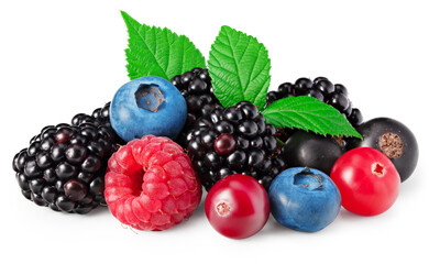 mix of blueberry, blackberry, cranberry, raspberry with leaves isolated on white background. top view. clipping path