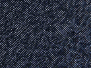 Plakat Blue leather texture closeup
