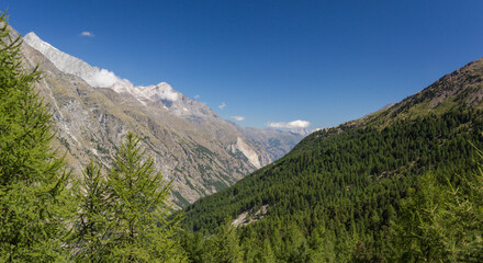 Fototapeta na wymiar Randonnée à Zermatt