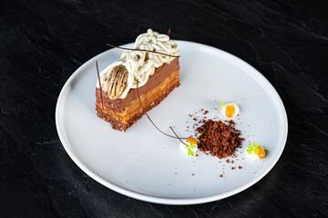 tasty cake with vanilla cream on white plate