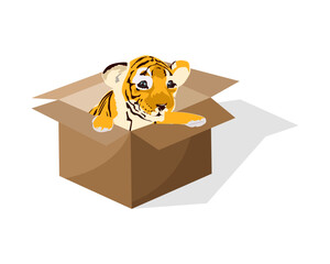 Cute tiger in a box, vector illustration. The little tiger wants to get out of the box. Concept of a tiger in a cardboard box