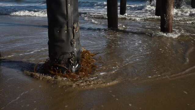 Santa Barbara's Beautiful Beaches Goleta UCSB East Beach