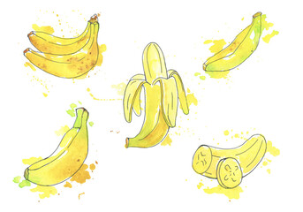Set watercolor illustrations bananas isolated on white background. Fruit. Hand drawing. Yellow watercolor splatter. Vegetarian food. Beautiful illustration.