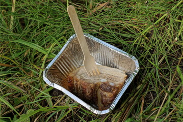 a brown piece of fried meat with a wooden fork in a gray plastic foil box stands in green grass in nature