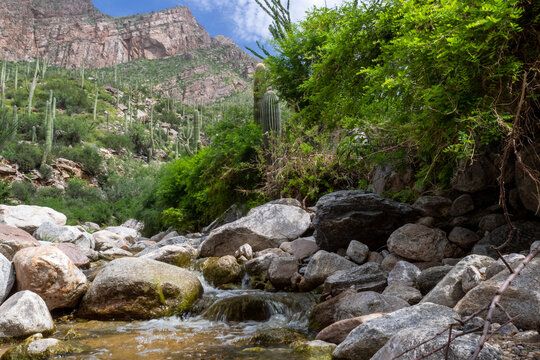 Pima creek running through Pima Canyon after monsoon rains during the month of August. Sonoran Desert landscape with flowing water. Beautiful Southwestern desert scenery. Tucson, Arizona, USA.