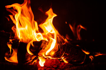 Fototapeta premium fire on the black background