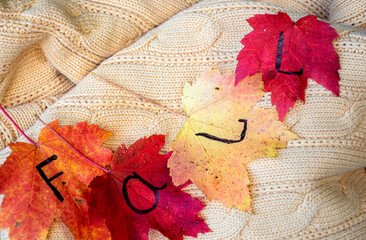 Yellow cozy sweater with colorful leaves on it. Word fall 