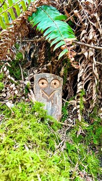 Fun wooden craft hidden in the jungle Smiling owl two eyes There is space for text Englishman river falls park Parksville Qualicum Vancouver Island Canada. High quality photo