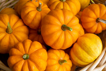 Lots of mini pumpkins in basket. Autumn decor. Space for text 